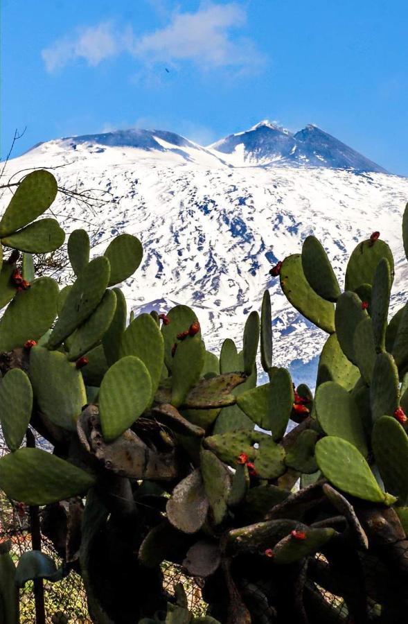 Apartamento La Pigna Dell'Etna Nicolosi Exterior foto