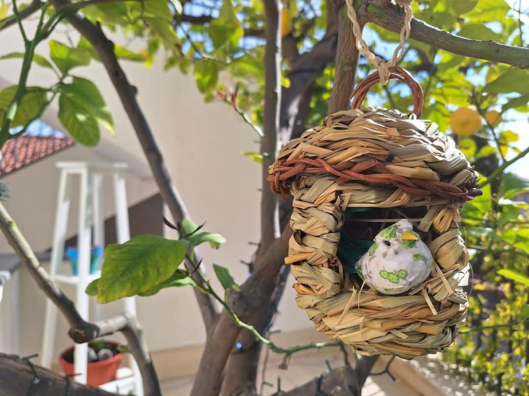 Apartamento La Pigna Dell'Etna Nicolosi Exterior foto